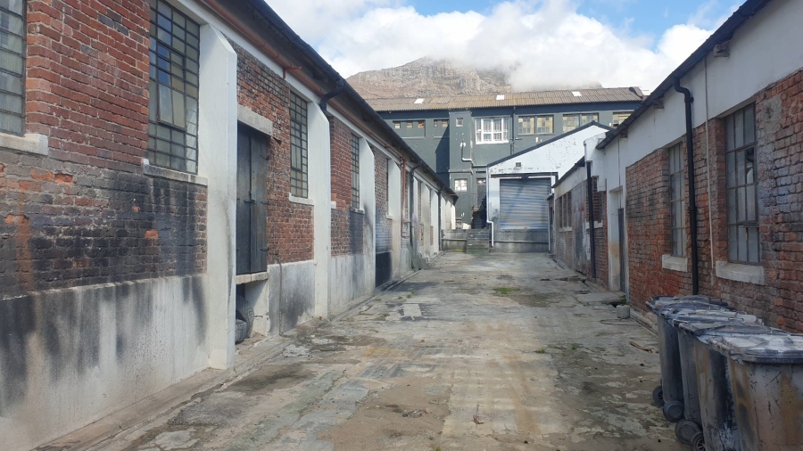To Let Commercial Property for Rent in Salt River Western Cape